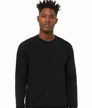Sponge Fleece Raglan Crewneck Sweatshirt